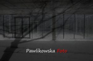 Hakerki-Sukcesu-Katarzyna-Pawlikowska